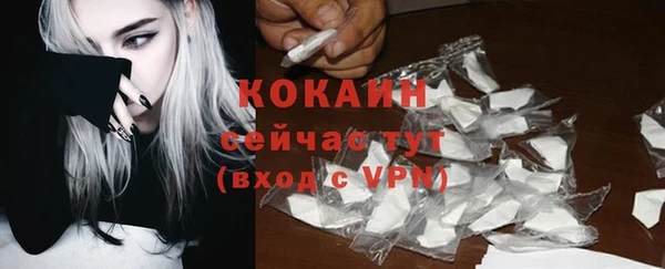 гидра Струнино