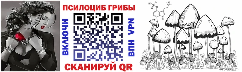 где найти   Георгиевск  Галлюциногенные грибы MAGIC MUSHROOMS 